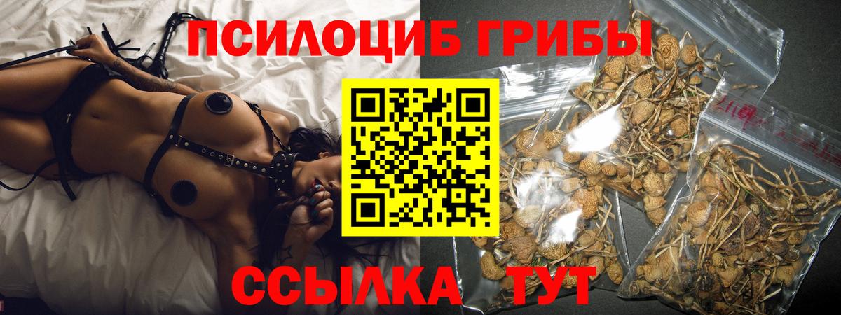 Галлюциногенные грибы Cubensis  Псилоцибиновые грибы мицелий  Вход с VPN  Комсомольск-на-Амуре 